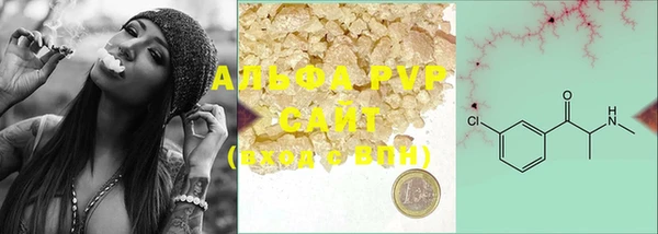ГАЛЛЮЦИНОГЕННЫЕ ГРИБЫ Осинники