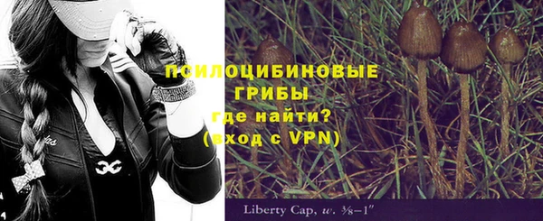 ГАЛЛЮЦИНОГЕННЫЕ ГРИБЫ Осинники