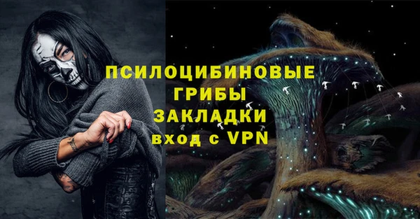 ГАЛЛЮЦИНОГЕННЫЕ ГРИБЫ Осинники