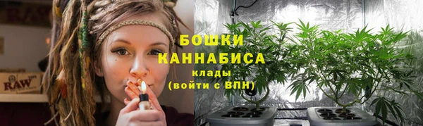 ГАЛЛЮЦИНОГЕННЫЕ ГРИБЫ Осинники