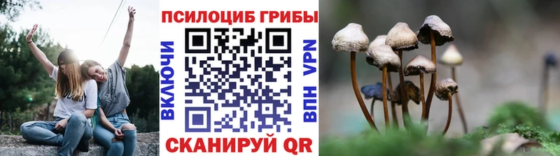 Галлюциногенные грибы Magic Shrooms  наркота  Тула 