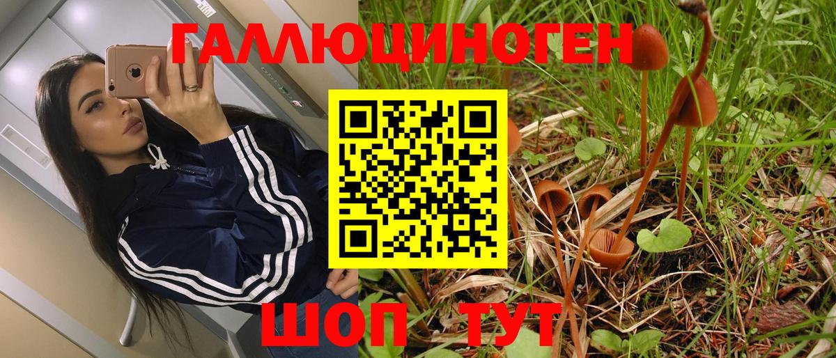 Галлюциногенные грибы прущие грибы  Псилоцибиновые грибы Psilocybe  Тула  Вход с VPN 