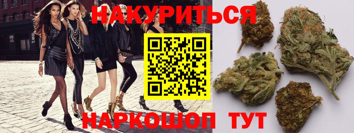 МАРИХУАНА план Тула